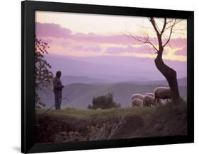 Shepherd and Sheep at Dusk, Near Volterra, Tuscany, Italy, Europe-Patrick Dieudonne-Framed Photographic Print