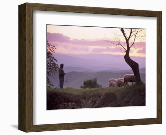 Shepherd and Sheep at Dusk, Near Volterra, Tuscany, Italy, Europe-Patrick Dieudonne-Framed Photographic Print