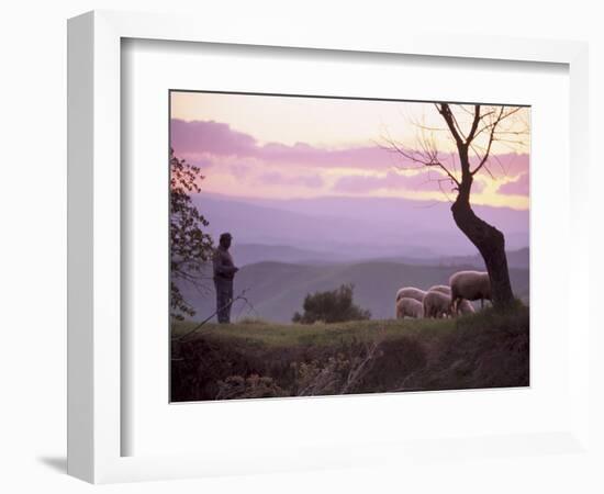 Shepherd and Sheep at Dusk, Near Volterra, Tuscany, Italy, Europe-Patrick Dieudonne-Framed Photographic Print