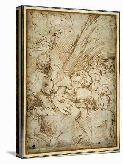 Shepherd Boy Holding a Pipe, Resting under a Tree with His Dog Among their Flock-Parmigianino-Stretched Canvas