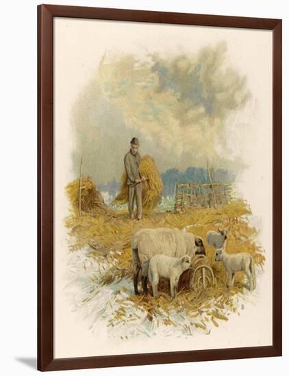 Shepherd Brings a Bale of Hay to His Flock in Winter- Time-Phillips Brooks-Framed Art Print