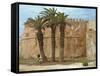 Shepherd by the Town Walls, Essaouira, Morocco, North Africa, Africa-Hodson Jonathan-Framed Stretched Canvas