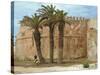 Shepherd by the Town Walls, Essaouira, Morocco, North Africa, Africa-Hodson Jonathan-Stretched Canvas