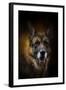 Shepherd Glow-Jai Johnson-Framed Giclee Print