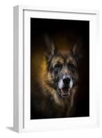 Shepherd Glow-Jai Johnson-Framed Giclee Print