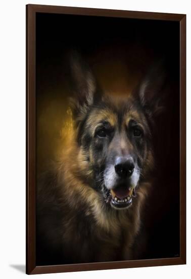 Shepherd Glow-Jai Johnson-Framed Giclee Print