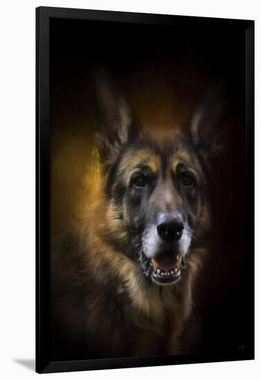 Shepherd Glow-Jai Johnson-Framed Giclee Print