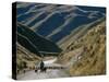 Shepherd Herding Flock of Sheep Through Mountain Pass, Glenorchy, South Island, New Zealand-D H Webster-Stretched Canvas