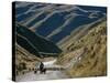 Shepherd Herding Flock of Sheep Through Mountain Pass, Glenorchy, South Island, New Zealand-D H Webster-Stretched Canvas