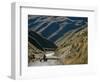 Shepherd Herding Flock of Sheep Through Mountain Pass, Glenorchy, South Island, New Zealand-D H Webster-Framed Photographic Print