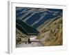 Shepherd Herding Flock of Sheep Through Mountain Pass, Glenorchy, South Island, New Zealand-D H Webster-Framed Photographic Print