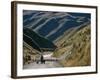 Shepherd Herding Flock of Sheep Through Mountain Pass, Glenorchy, South Island, New Zealand-D H Webster-Framed Photographic Print