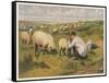 Shepherd in a Meadow with His Dog and His Sheep-null-Framed Stretched Canvas