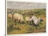 Shepherd in a Meadow with His Dog and His Sheep-null-Stretched Canvas