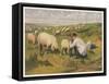 Shepherd in a Meadow with His Dog and His Sheep-null-Framed Stretched Canvas