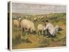 Shepherd in a Meadow with His Dog and His Sheep-null-Stretched Canvas