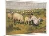 Shepherd in a Meadow with His Dog and His Sheep-null-Mounted Art Print