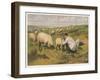 Shepherd in a Meadow with His Dog and His Sheep-null-Framed Art Print