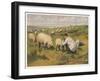 Shepherd in a Meadow with His Dog and His Sheep-null-Framed Art Print