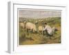 Shepherd in a Meadow with His Dog and His Sheep-null-Framed Art Print