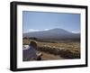 Shepherd, Mount Etna, Sicily, Italy-Oliviero Olivieri-Framed Photographic Print