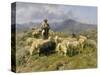 Shepherd of the Pyrenees, 1888-Rosa Bonheur-Stretched Canvas