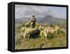 Shepherd of the Pyrenees, 1888-Rosa Bonheur-Framed Stretched Canvas