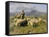 Shepherd of the Pyrenees, 1888-Rosa Bonheur-Framed Stretched Canvas
