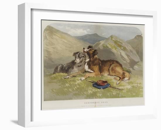 Shepherd's Dogs-F. Tayler-Framed Giclee Print