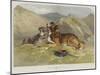 Shepherd's Dogs-F. Tayler-Mounted Giclee Print