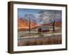 Shepherd's Hut in Wilds-Margo Starkey-Framed Giclee Print