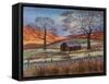 Shepherd's Hut in Wilds-Margo Starkey-Framed Stretched Canvas