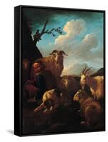 Shepherd with Animals-Rosa da Tivoli,-Framed Stretched Canvas