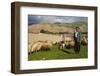 Shepherd with His Herd of Sheep in Ahmedawa on the Border of Iran-Michael Runkel-Framed Photographic Print