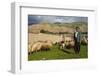 Shepherd with His Herd of Sheep in Ahmedawa on the Border of Iran-Michael Runkel-Framed Photographic Print