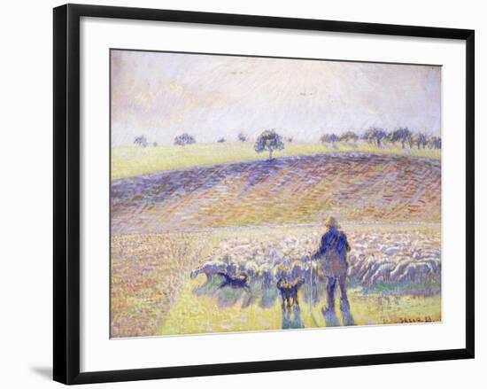 Shepherd with Sheep, 1888-Camille Pissarro-Framed Giclee Print