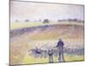 Shepherd with Sheep, 1888-Camille Pissarro-Mounted Giclee Print
