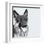 Shepherd-Emily Burrowes-Framed Art Print