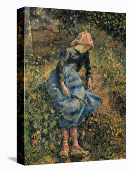 Shepherdess (Girl with a Stick)-Camille Pissarro-Stretched Canvas