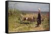 Shepherdess (Oil on Canvas)-Anton Mauve-Framed Stretched Canvas