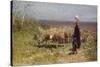 Shepherdess (Oil on Canvas)-Anton Mauve-Stretched Canvas