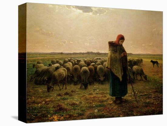 Shepherdess with Her Flock, 1863-Jean-François Millet-Stretched Canvas