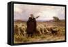 Shepherdess with Her Flock, 1907-Theophile Louis Deyrolle-Framed Stretched Canvas