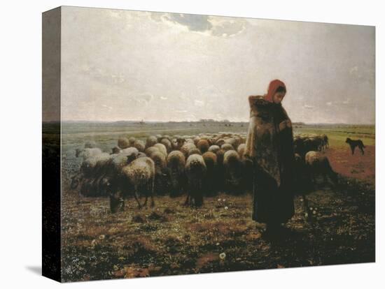 Shepherdess with Her Flock-Jean-François Millet-Stretched Canvas