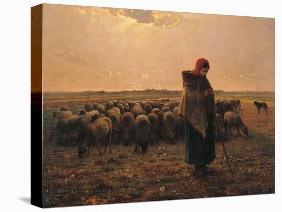 Shepherdess with Her Flock-Jean-Fran?ois Millet-Stretched Canvas