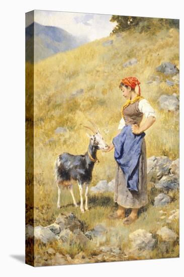 Shepherdess-Niccolo Cannicci-Stretched Canvas