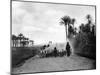 Shepherding Sheep Near Cairo, Egypt, C1920S-null-Mounted Giclee Print