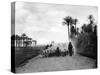 Shepherding Sheep Near Cairo, Egypt, C1920S-null-Stretched Canvas