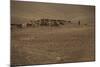 Shepherds and their flocks walk long distances in barren hills, Afghanistan-Alex Treadway-Mounted Photographic Print