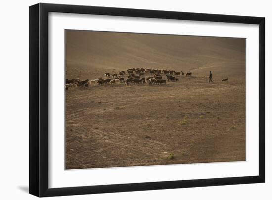 Shepherds and their flocks walk long distances in barren hills, Afghanistan-Alex Treadway-Framed Photographic Print